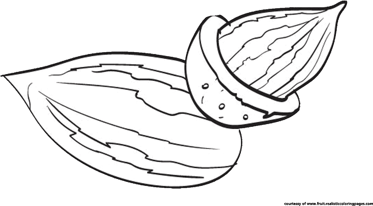 Nut Clipart Black And White.