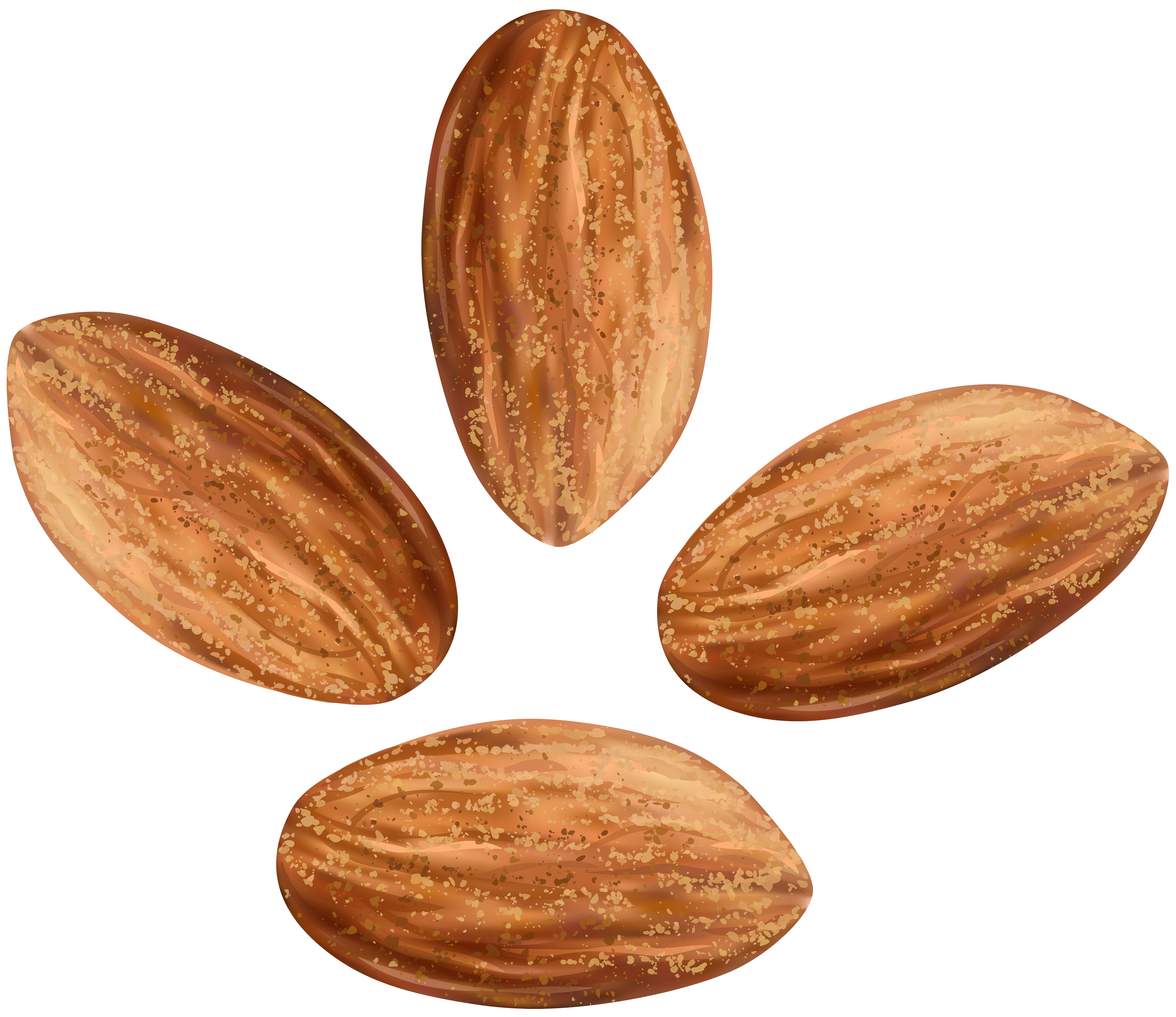 Almonds Transparent Clip Art Image.