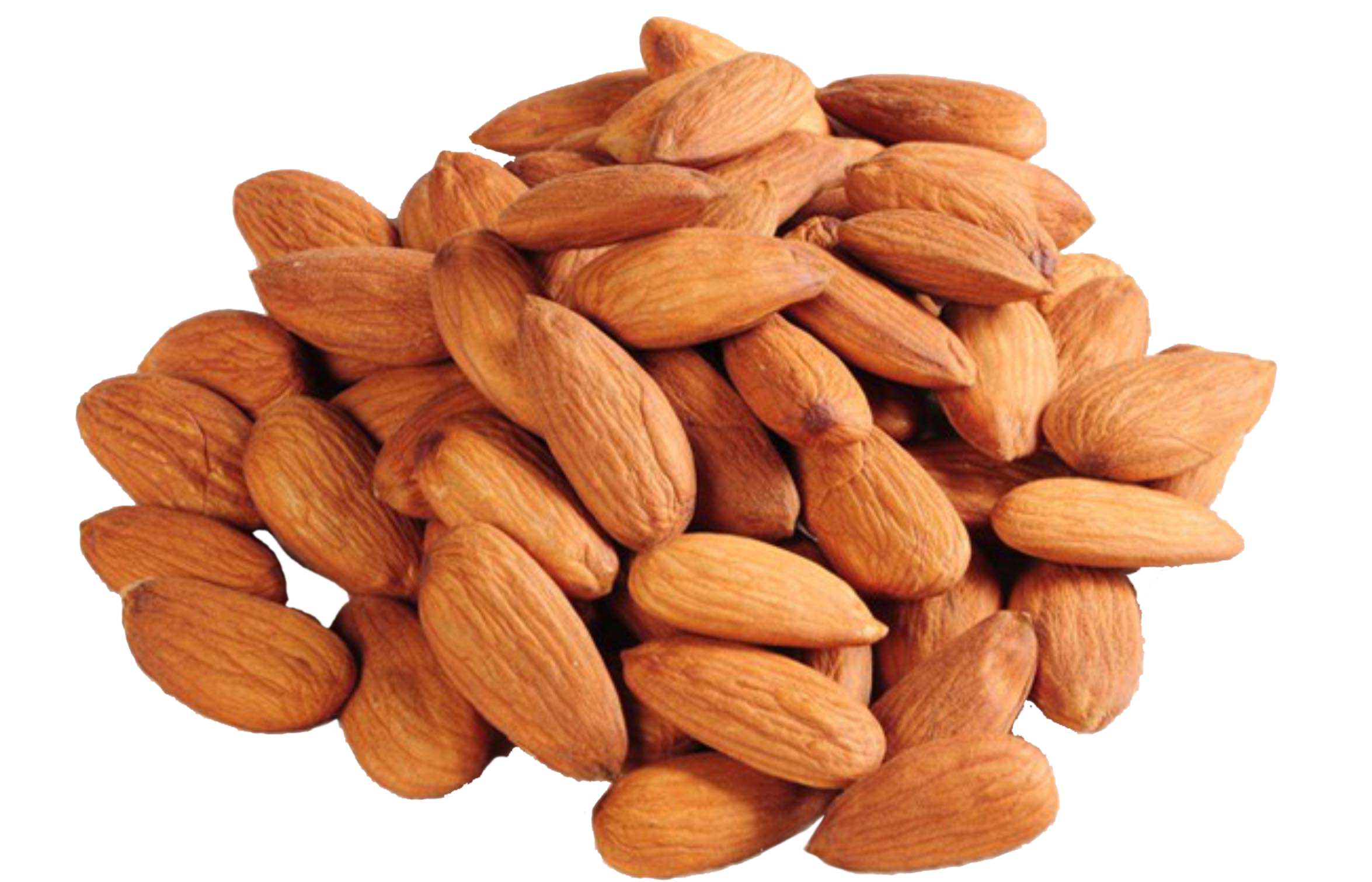 Almond PNG images free download.