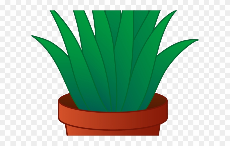 Pot Plant Clipart Pot Clip Art.