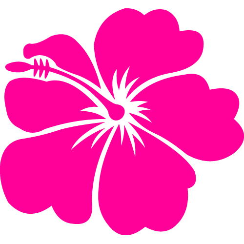 Free Hawaiian Flower, Download Free Clip Art, Free Clip Art.