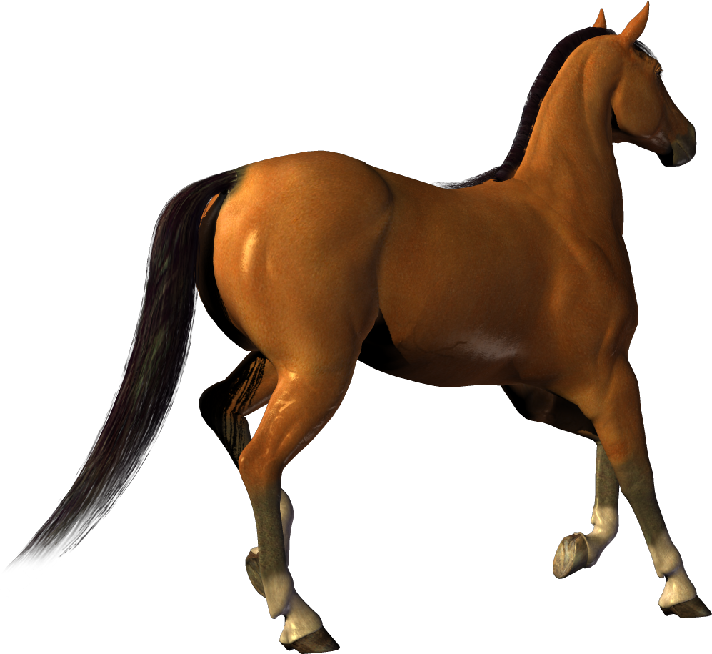 Horse PNG alpha channel clipart images (pictures) with.