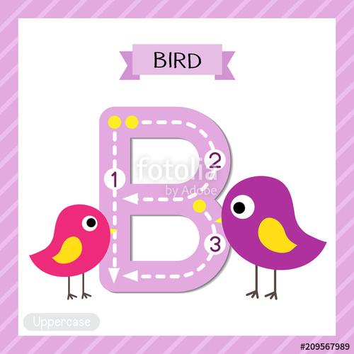 Letter B uppercase cute children colorful zoo and animals.