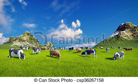 Stock Illustrations of Dairy cows on green alpine pasture.