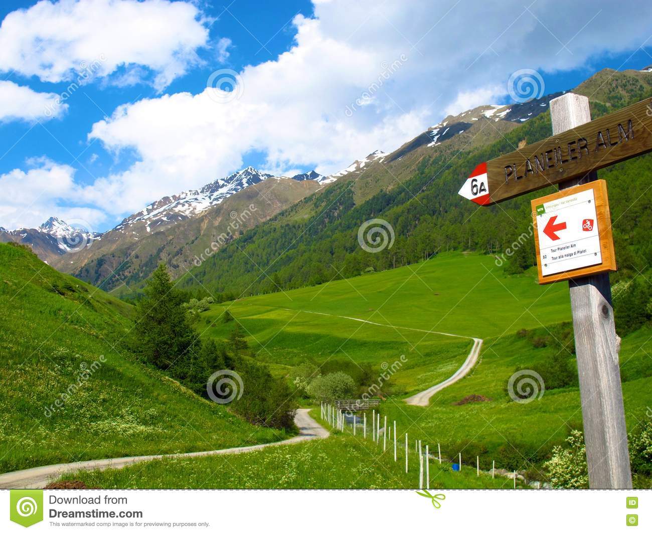 Arrow Sign Points Towards Alpine Walking Trail To Planeiler Alm.