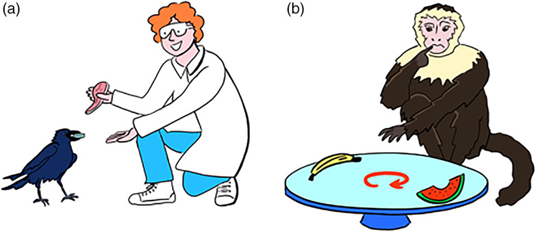 Self‐control in crows, parrots and nonhuman primates.