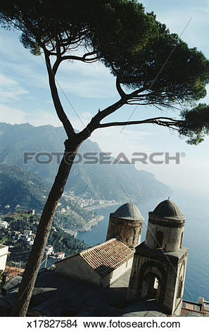 Stock Photo of Italy, Amalfi coast, Ravello, tree and church.