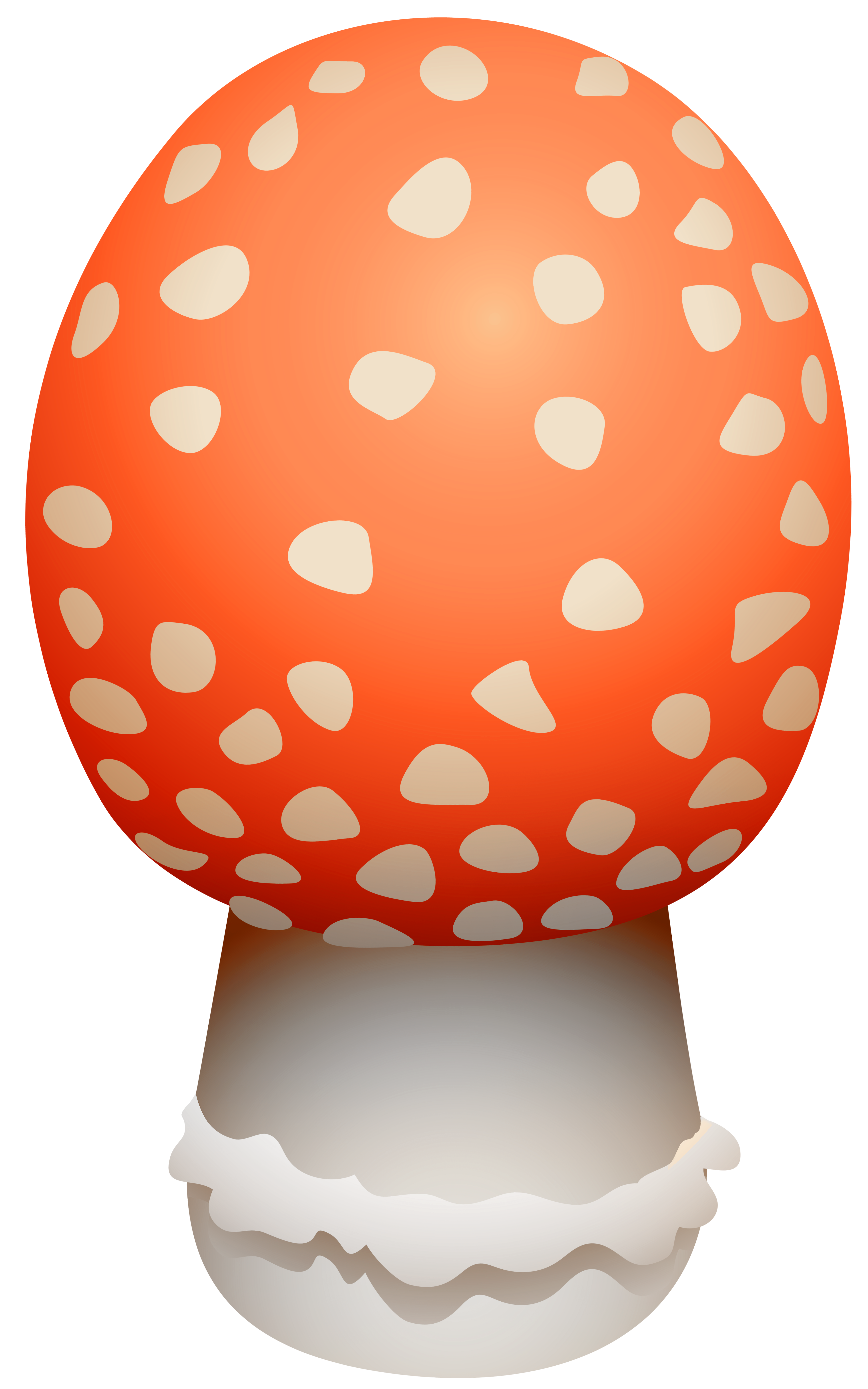 Amanita Muscaria Mushroom PNG Clipart.