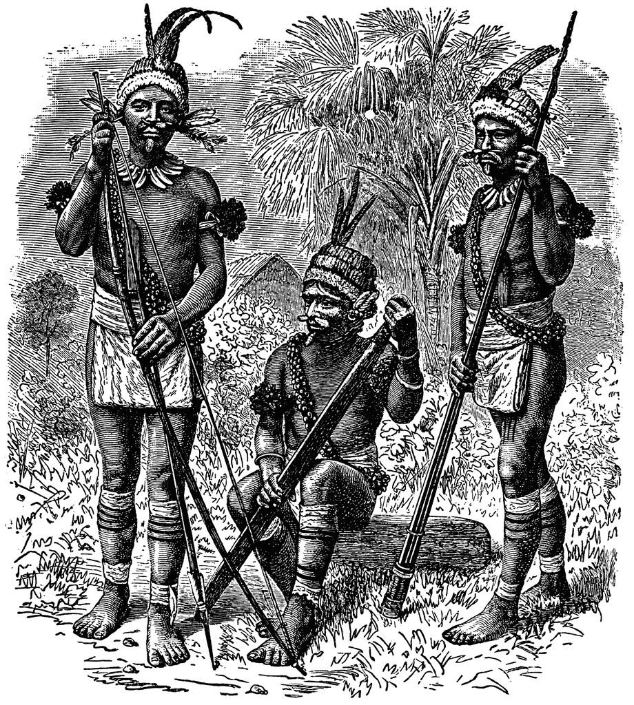 Потомок колонистов. Племена индейцев Южной Америки. Древние индейцы Южной Америки. Туземцы Южной Америки. Индейцы Северной Америки инки Майя Ацтеки.