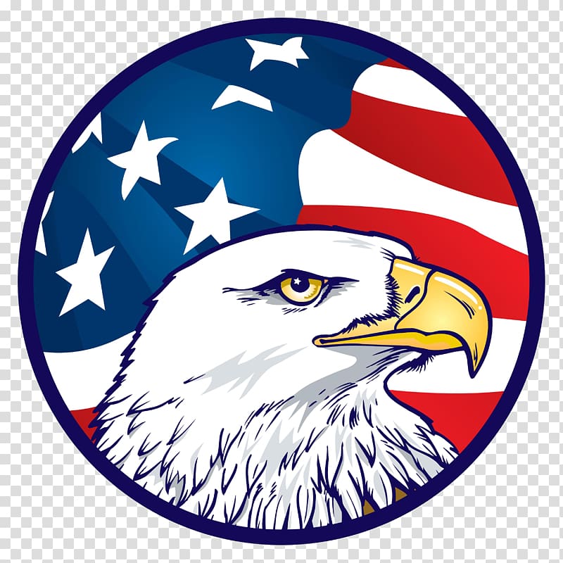 Bald Eagle Flag of the United States American Eagle.