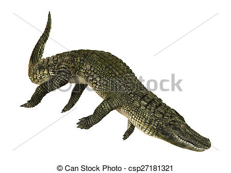 Clip Art of American Alligator.