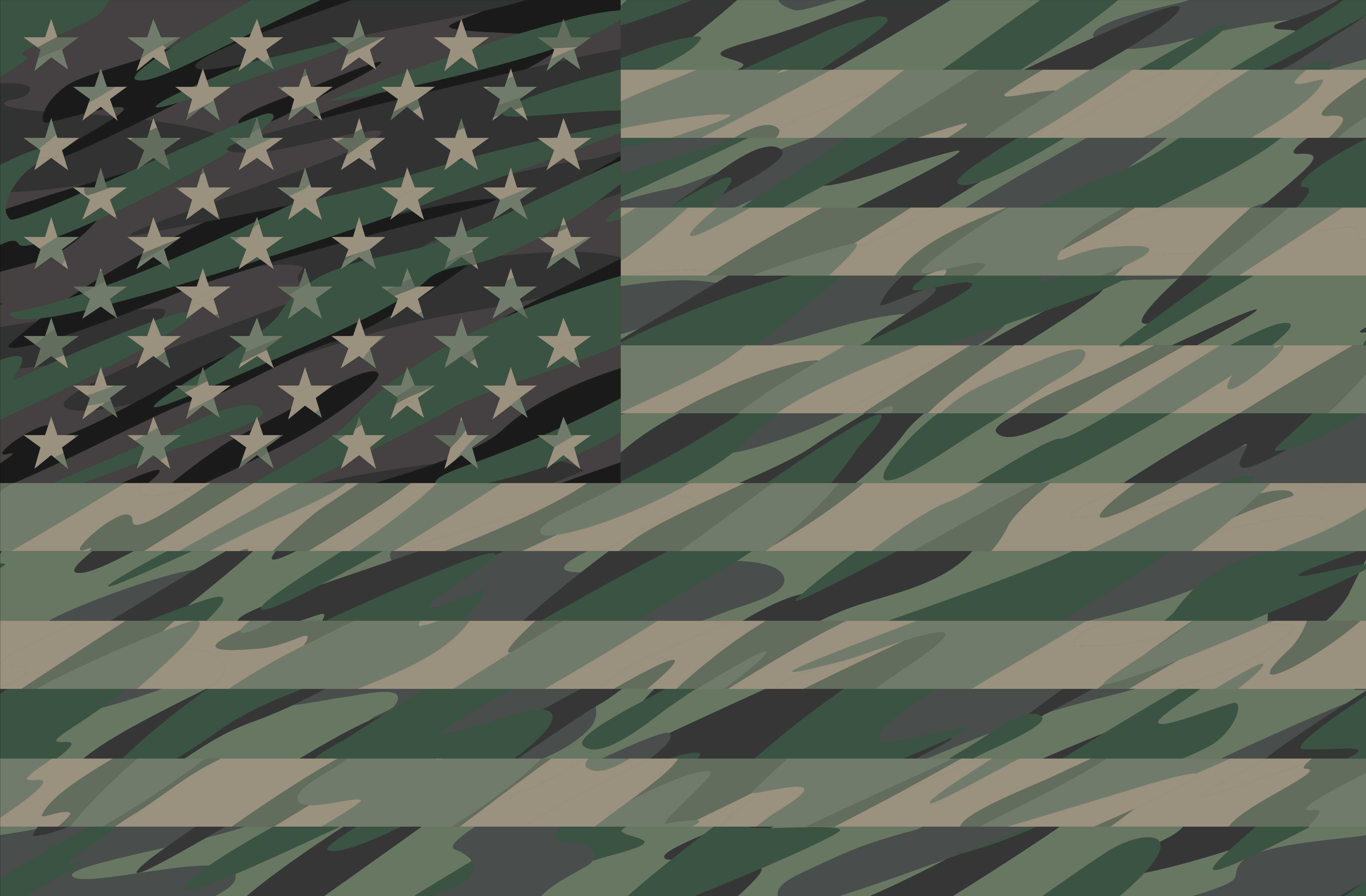 Patriotic Jungle Green Camo USA Flag Vector Illustration.