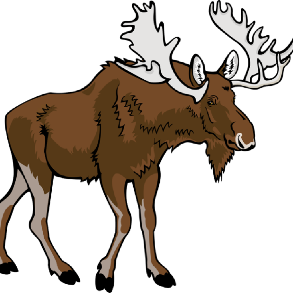 January clipart moose, January moose Transparent FREE for.