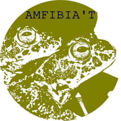 Picampall posa en marxa el projecte «Amfibia't» per recuperar.