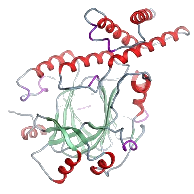 Human plant homeodomain finger protein 8.