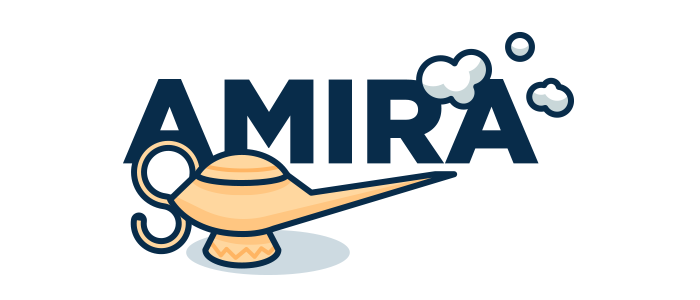 AMIRA: Automated Malware Incident Response and Analysis.