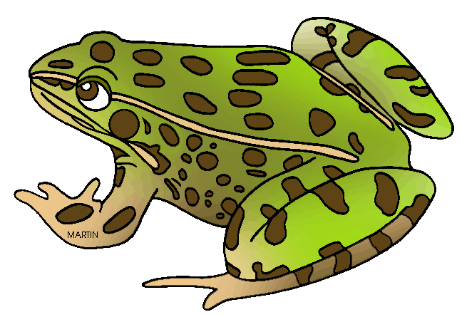 Amphibian Clipart.