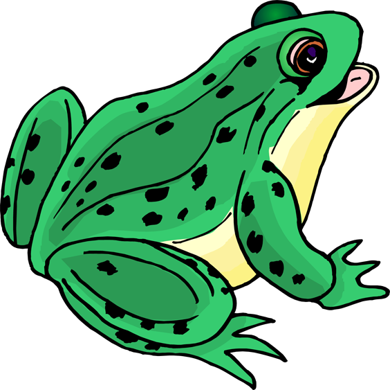 Amphibians clip art.