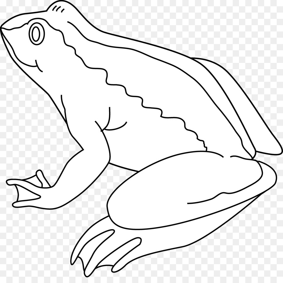 Frog Amphibian Black and white Drawing Clip art.