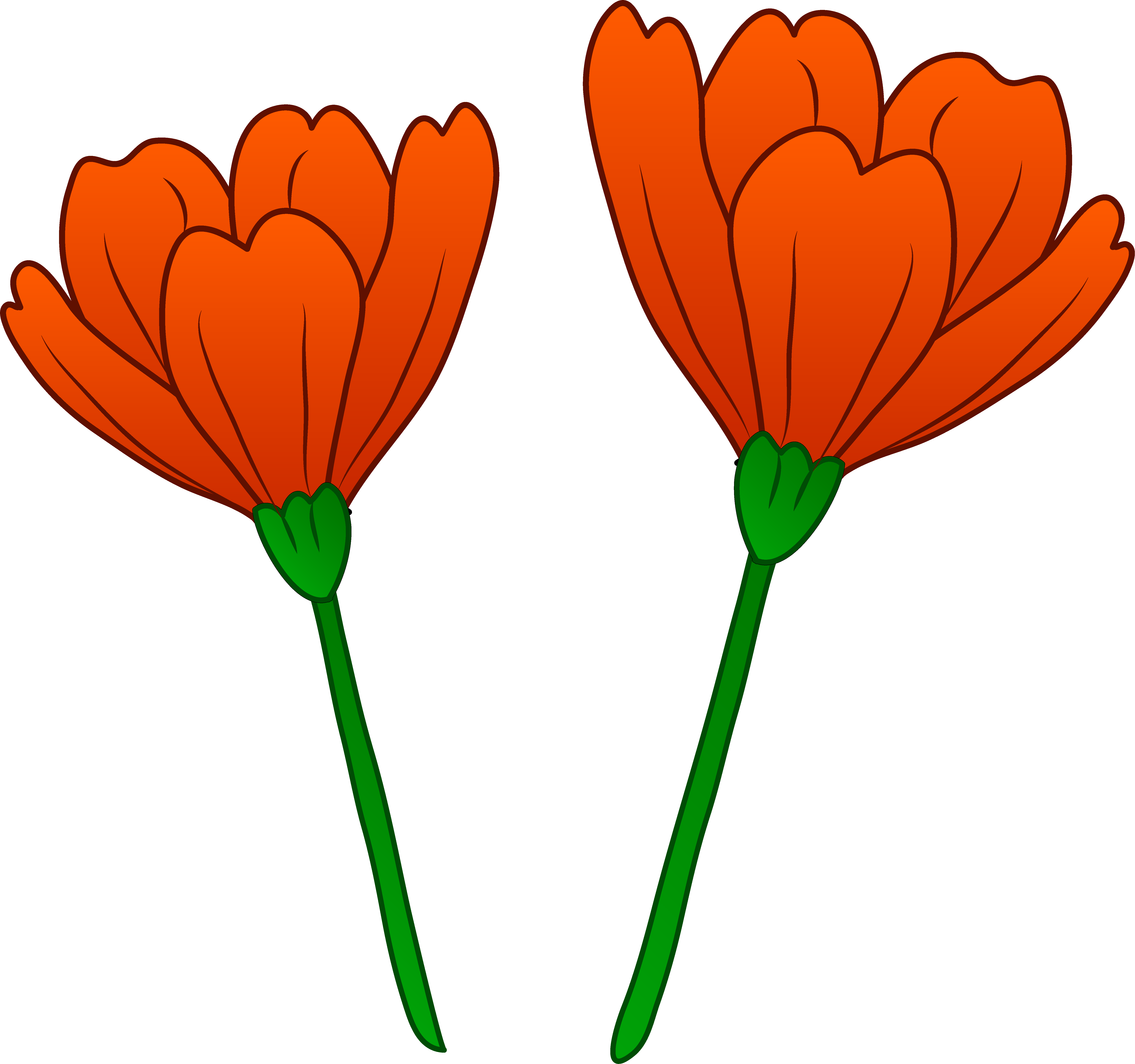 Free Poppy Flower Cliparts, Download Free Clip Art, Free.