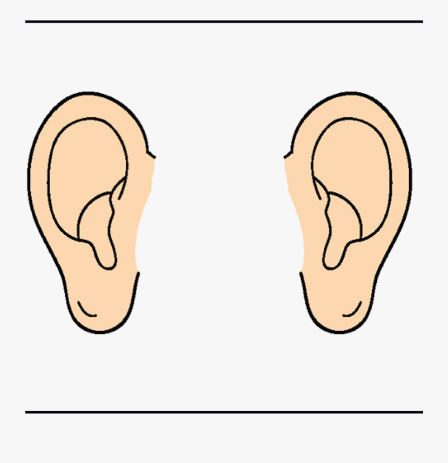 An Ear Clipart 10 Free Cliparts Download Images On Clipground 2024