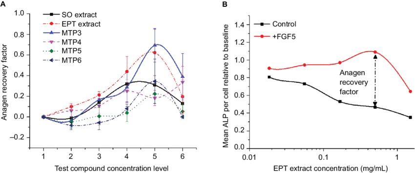 Recovery of anagen phase as indicated by ALP activity.