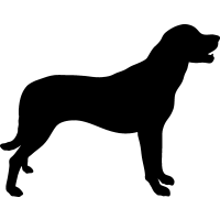 Herding Dogs Dog Breeds Vector Graphics DXF Clip Art for CNC.