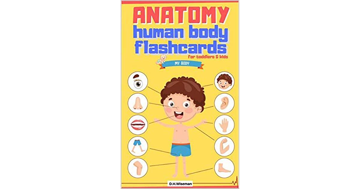 Anatomy Human Body Flashcards for Toddlers & Kids: Body.