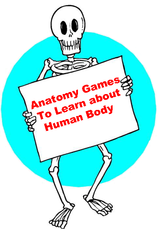 Anatomy Games. Human Body games for kids..