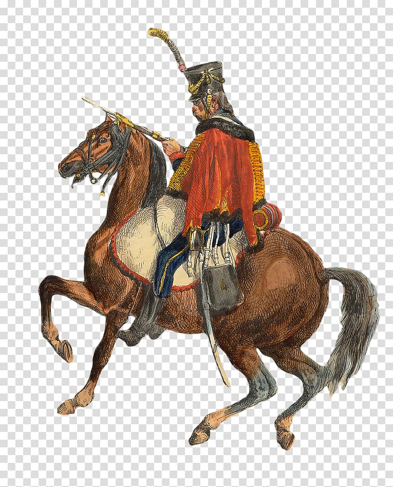 France Polish hussars Cavalry Regiment Hundred Days, france.