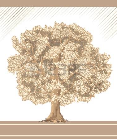 7,542 Ancient Tree Stock Vector Illustration And Royalty Free.