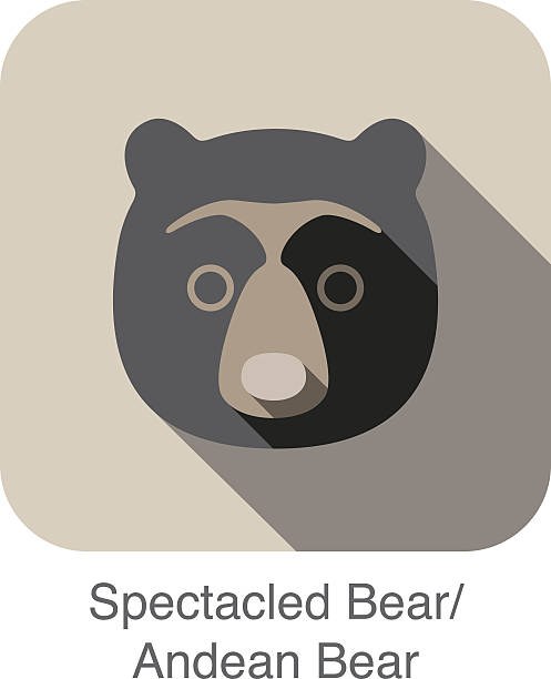 Andean Bear Clip Art, Vector Images & Illustrations.
