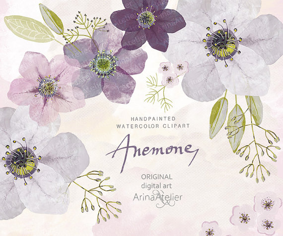 Anemones Watercolor Flowers CLIPART bright.