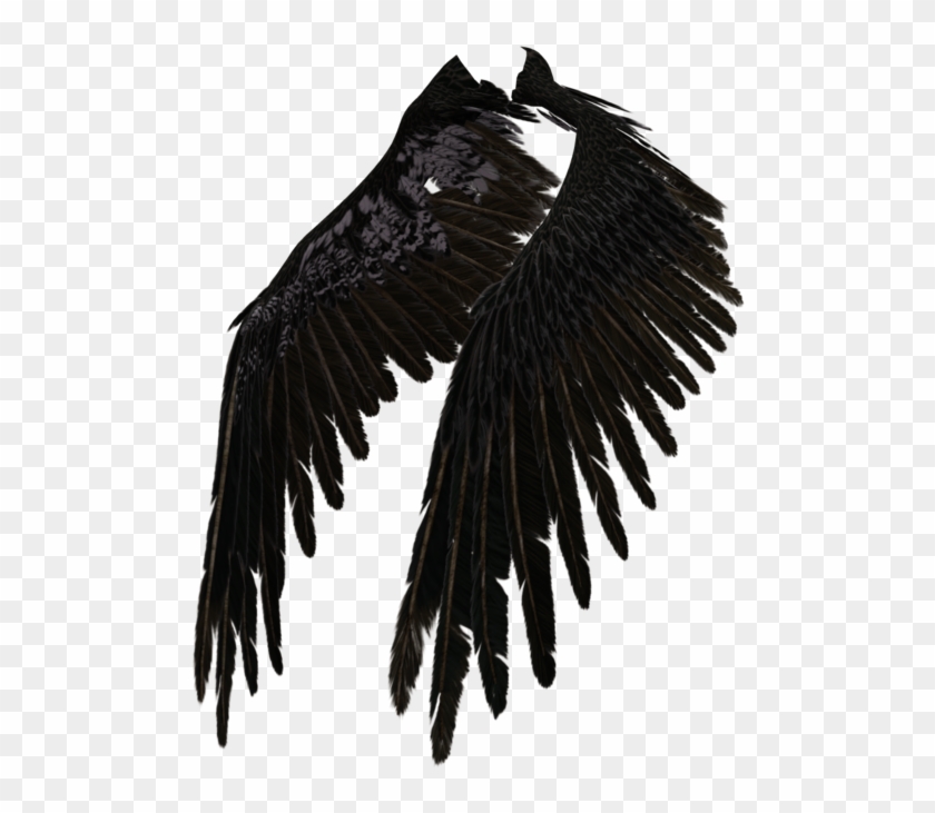 Angel black crow clipart clipart images gallery for free.