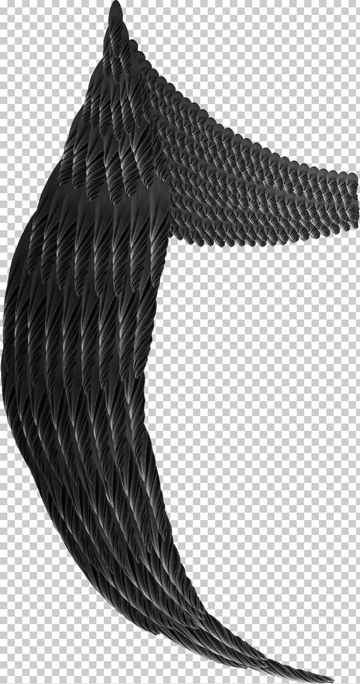 Rope Black, angel wings PNG clipart.