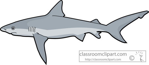 Large Image Of Shark Clipart.