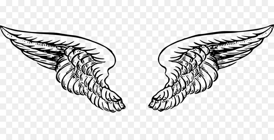 angel wing pictures clip art 20 free Cliparts | Download images on ...