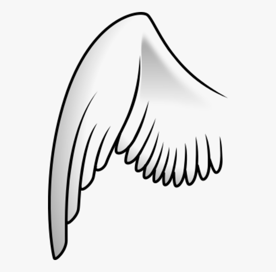 Angel Wings Png Clipart.