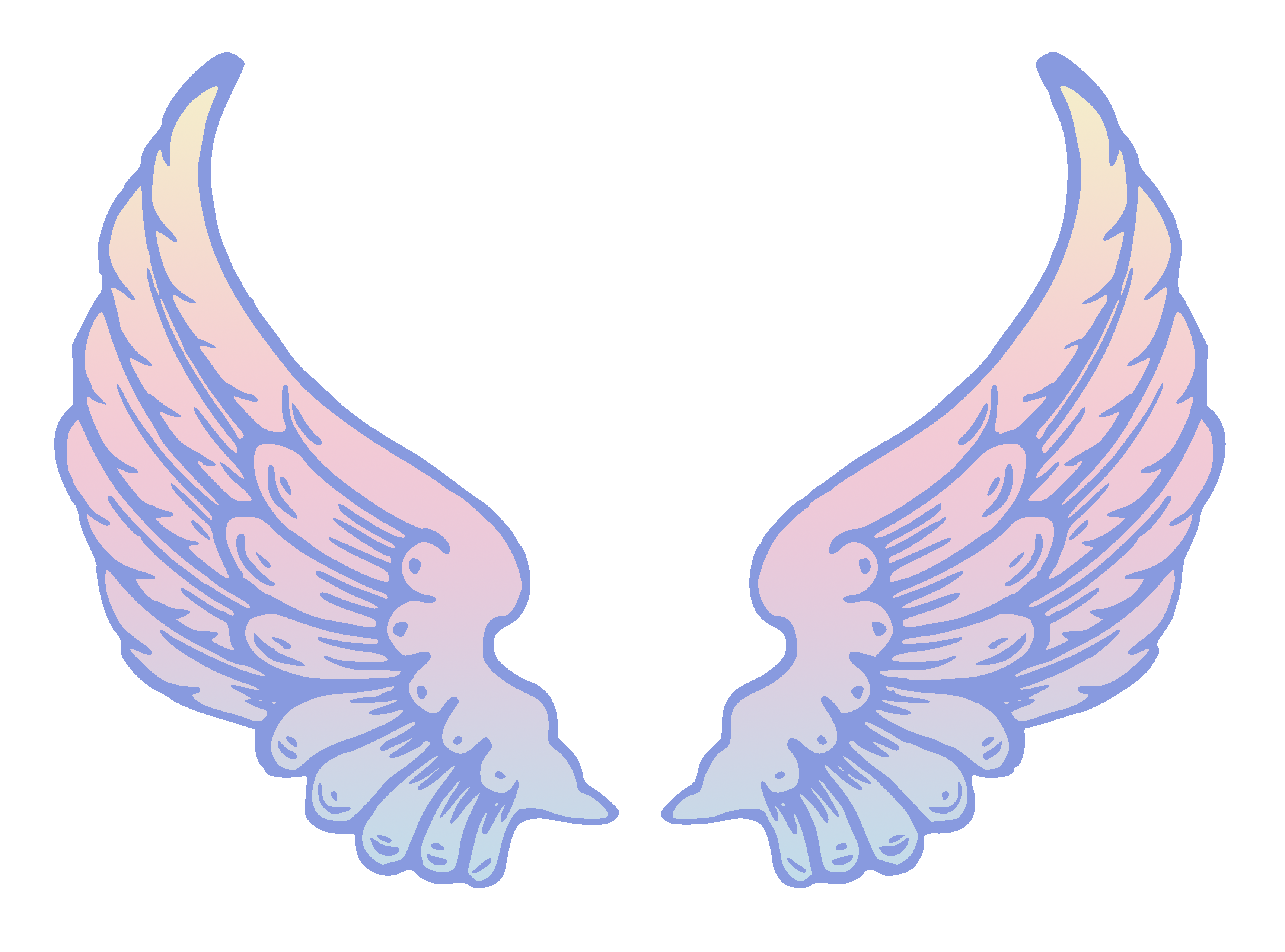 Angel wings clipart 20 free Cliparts  Download images on Clipground 2022