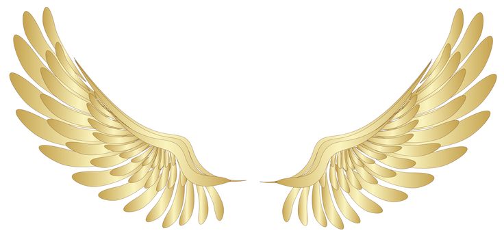 Free Angel Wings Png, Download Free Clip Art, Free Clip Art on.