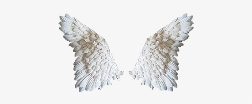 angel wings png file 20 free Cliparts | Download images on Clipground 2023