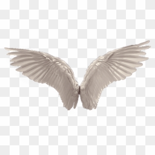 angel wings png file 20 free Cliparts | Download images on Clipground 2024