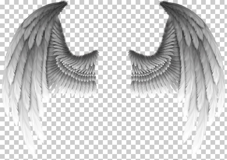 Fallen angel Devil Wing Demon, Devil\'s wings, white wings.