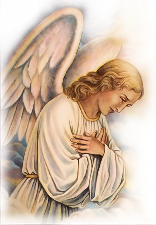 Angels Png 20 Free Cliparts Download Images On Clipground 2021