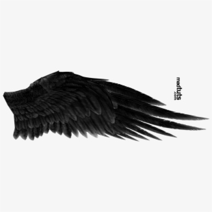 angels wings png 20 free Cliparts | Download images on Clipground 2021