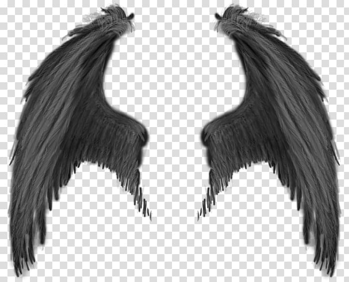 Angels transparent background PNG cliparts free download.