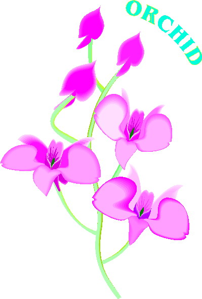 Orchid Clipart.