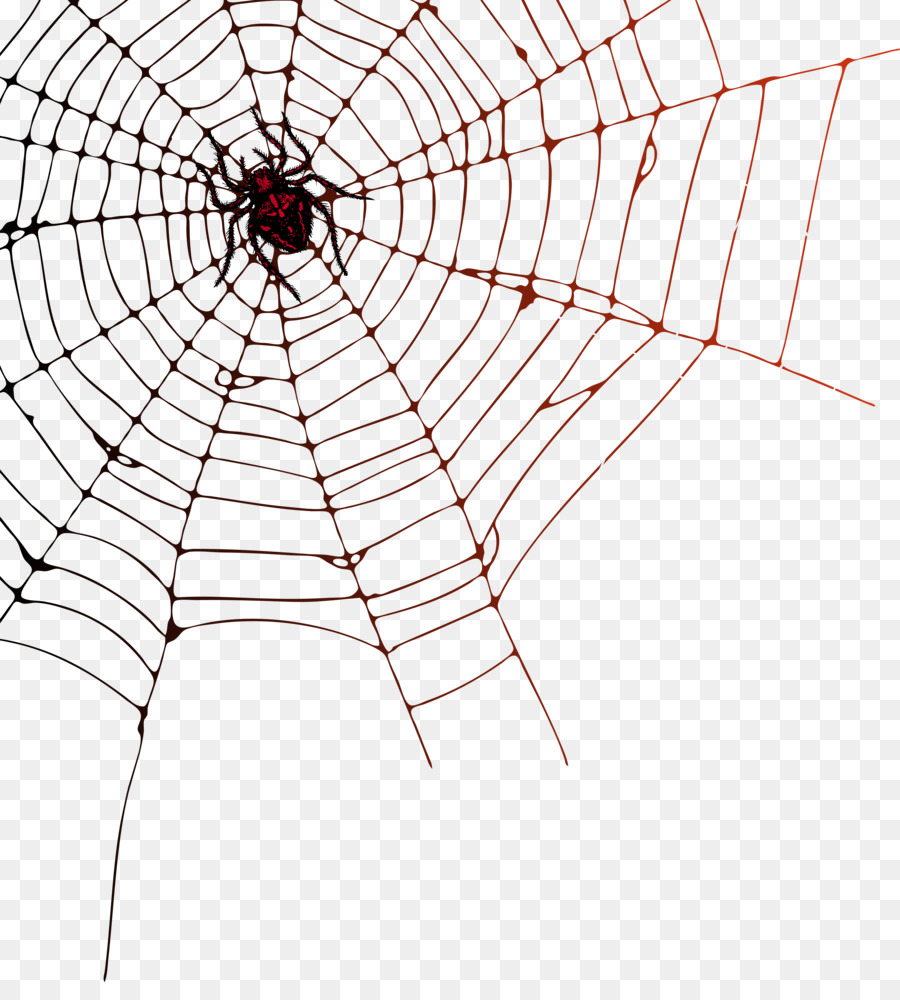 Spider web Pattern Symmetry Point Angle.