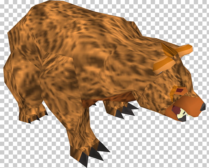 Bear RuneScape Anger Wiki, angry PNG clipart.