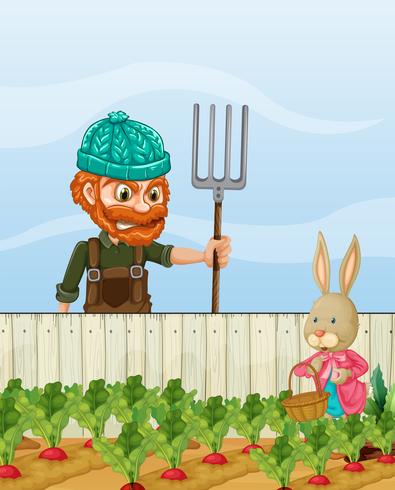 Farmer angry at rabbit harvest radish.